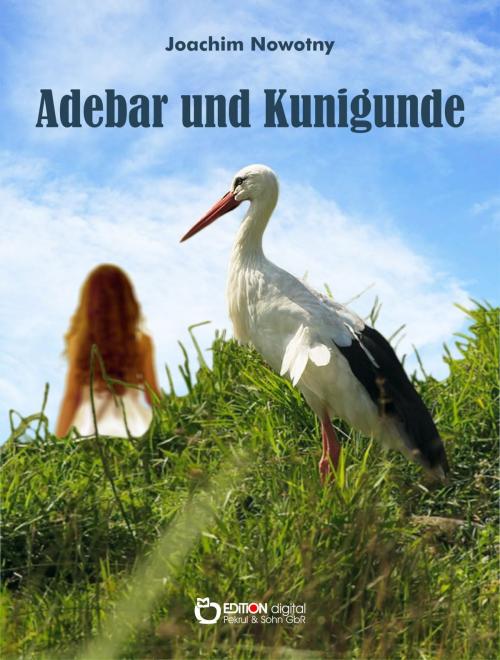 Cover of the book Adebar und Kunigunde by Joachim Nowotny, EDITION digital