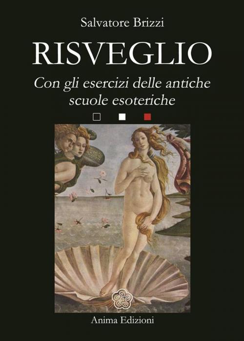 Cover of the book Risveglio by Salvatore Brizzi, Anima Edizioni