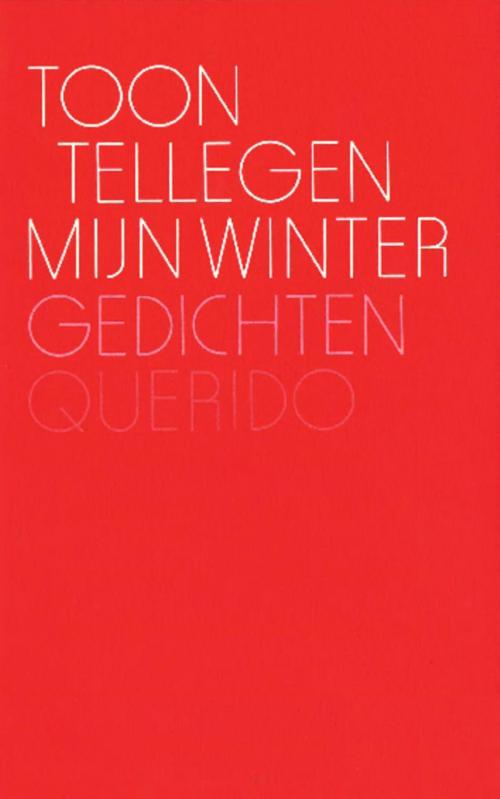 Cover of the book Mijn winter by Toon Tellegen, Singel Uitgeverijen