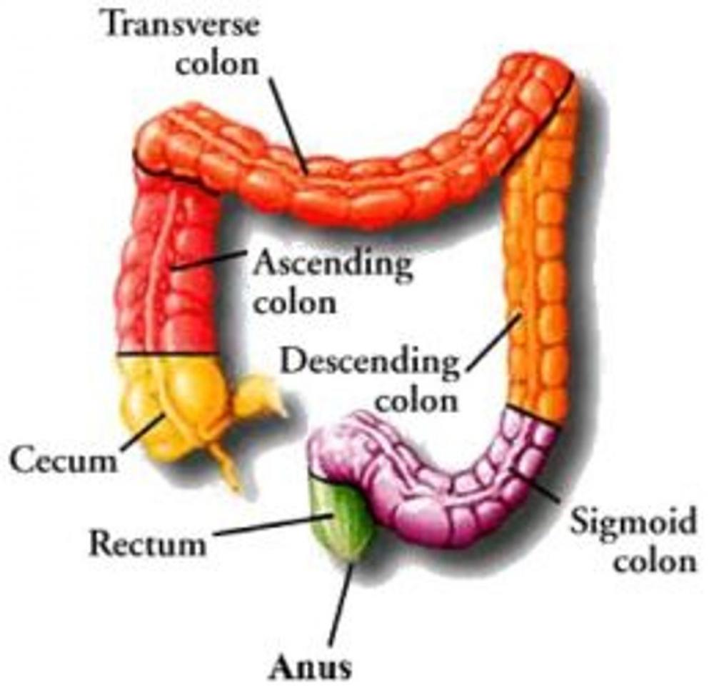 Big bigCover of Anal Cancer: Causes, Symptoms and Treatments