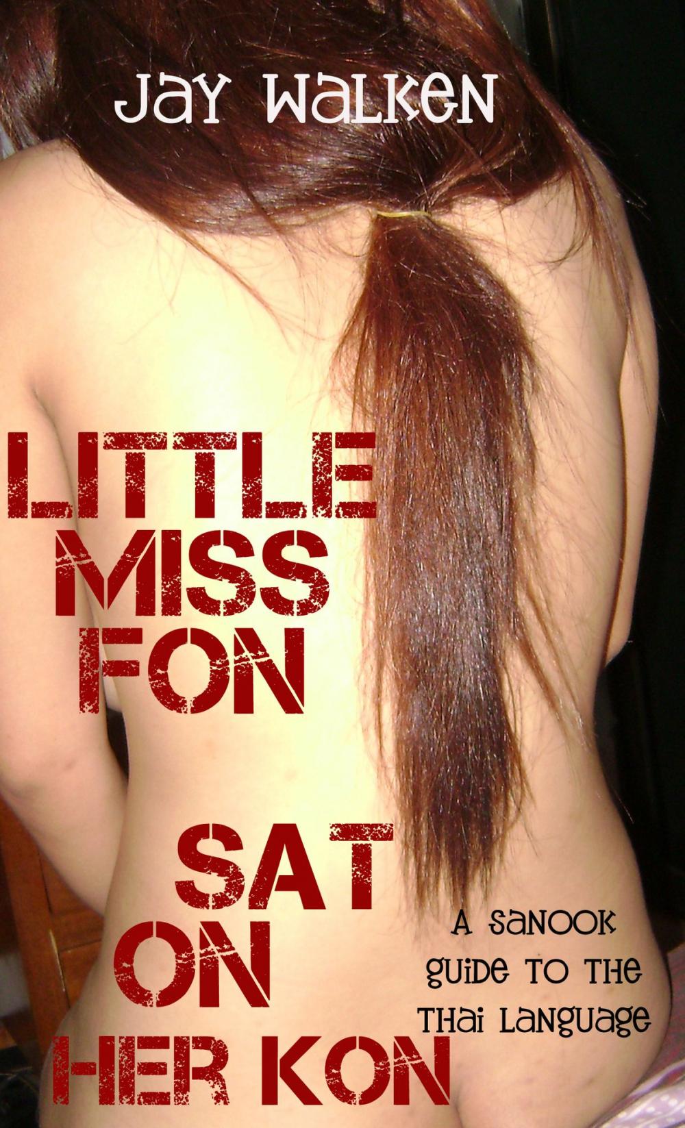 Big bigCover of Little Miss Fon Sat on Her Kon: A Sanook Guide to the Thai Language