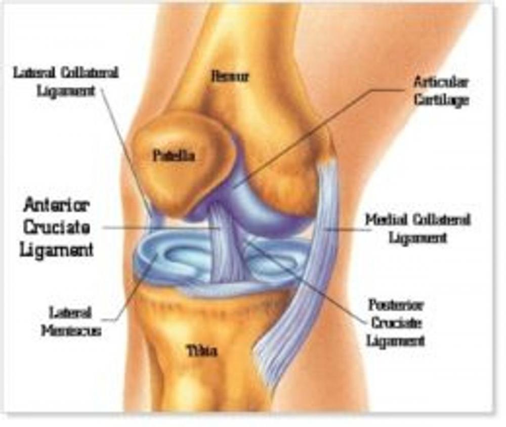 Big bigCover of Chondromalacia Patella: Causes, Symptoms and Treatments