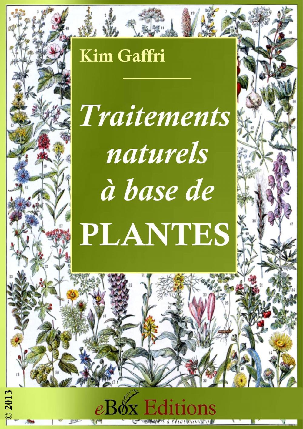 Big bigCover of Traitements et remèdes naturels à base de plantes