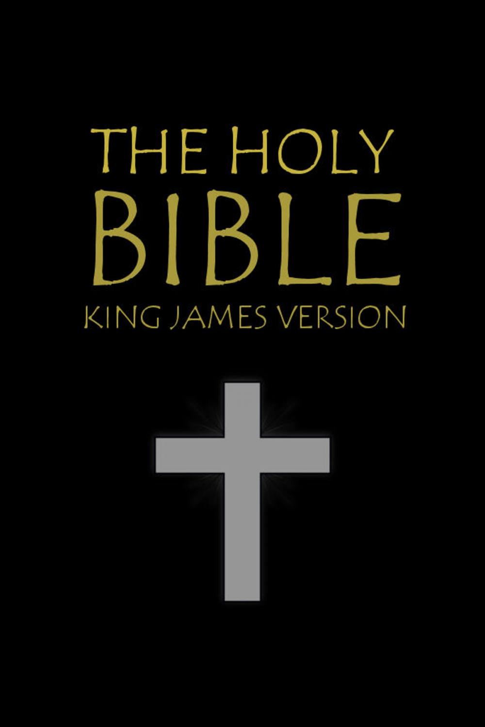 Big bigCover of The Holy Bible