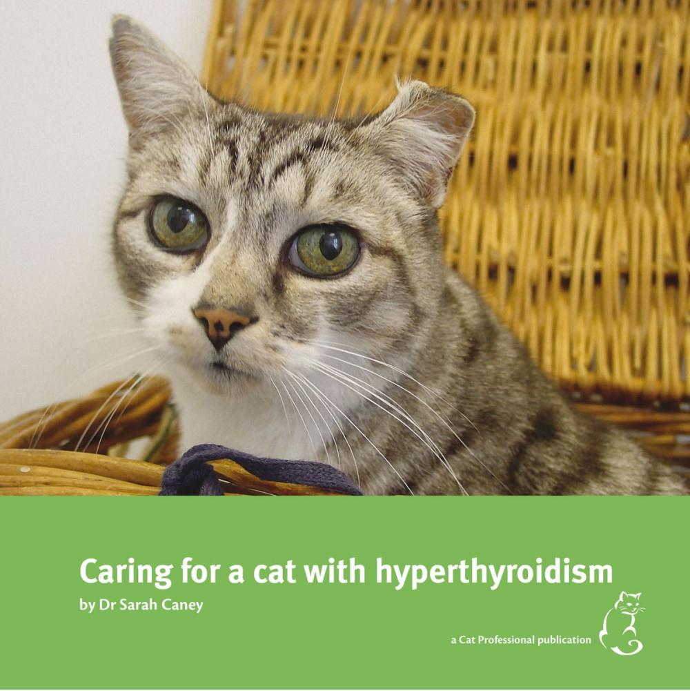 Big bigCover of Caring for a cat with hyperthyroidism