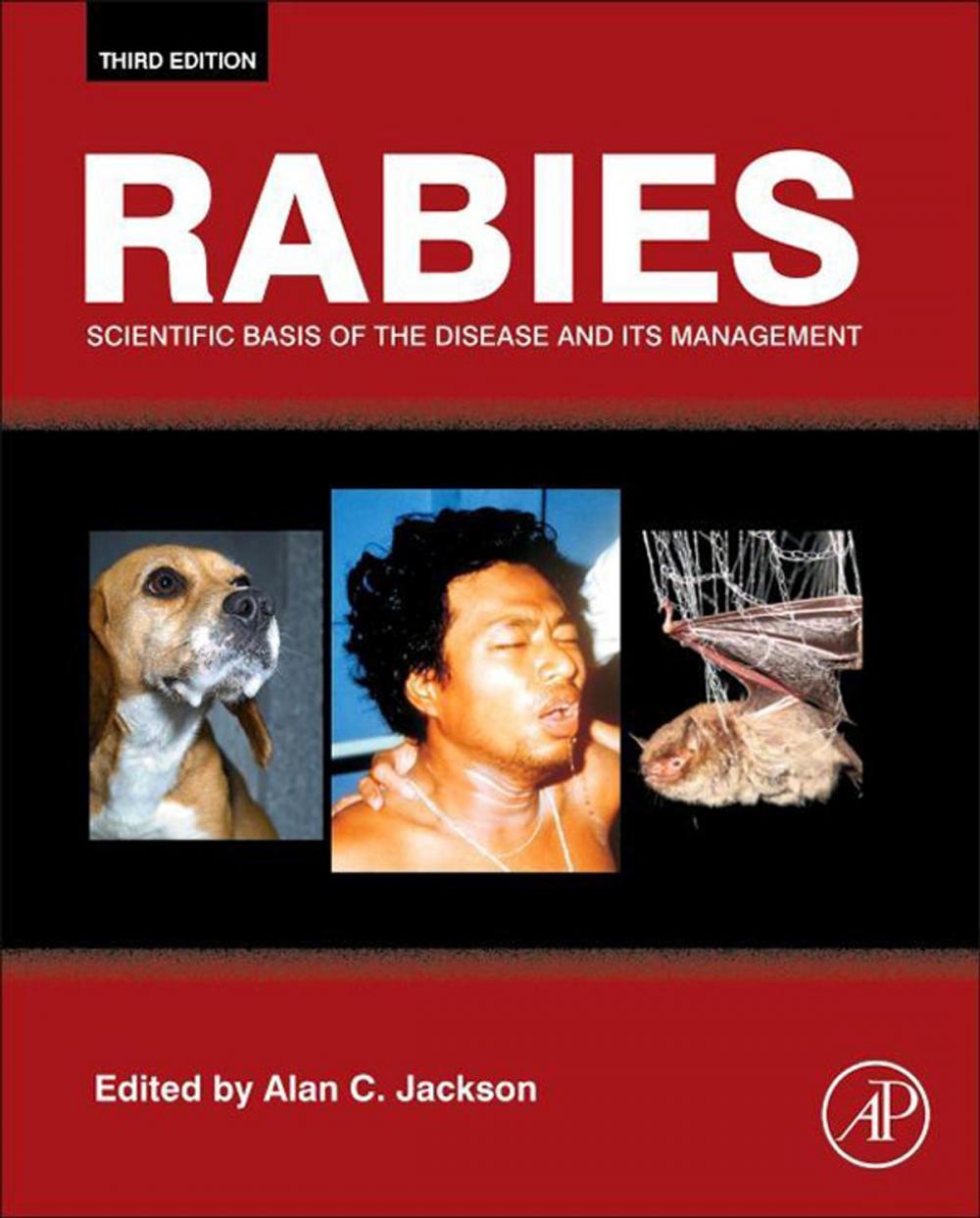 Big bigCover of Rabies