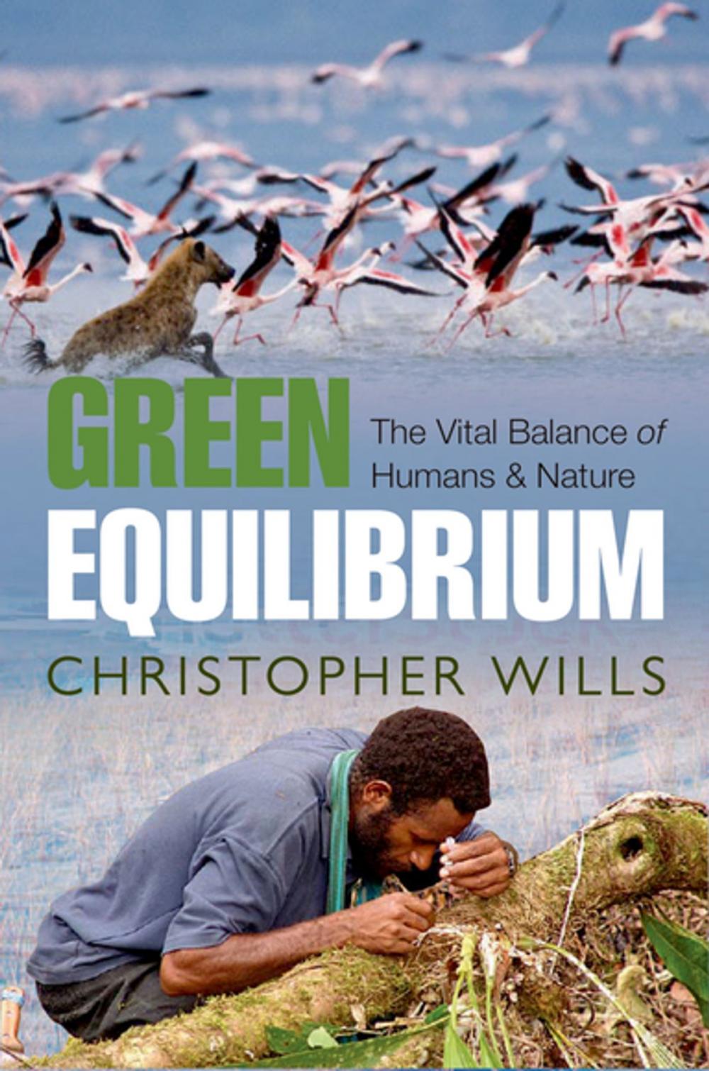 Big bigCover of Green Equilibrium