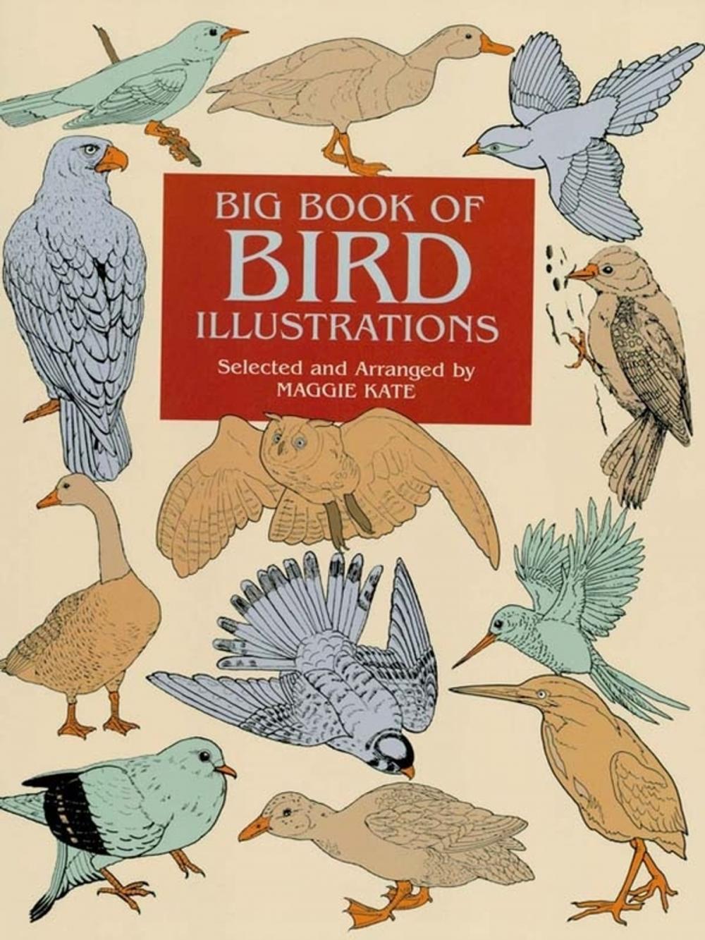 Big bigCover of Big Book of Bird Illustrations