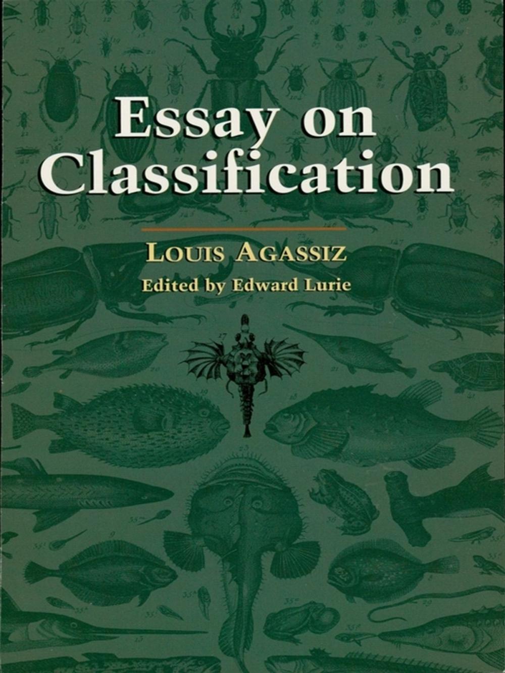 Big bigCover of Essay on Classification
