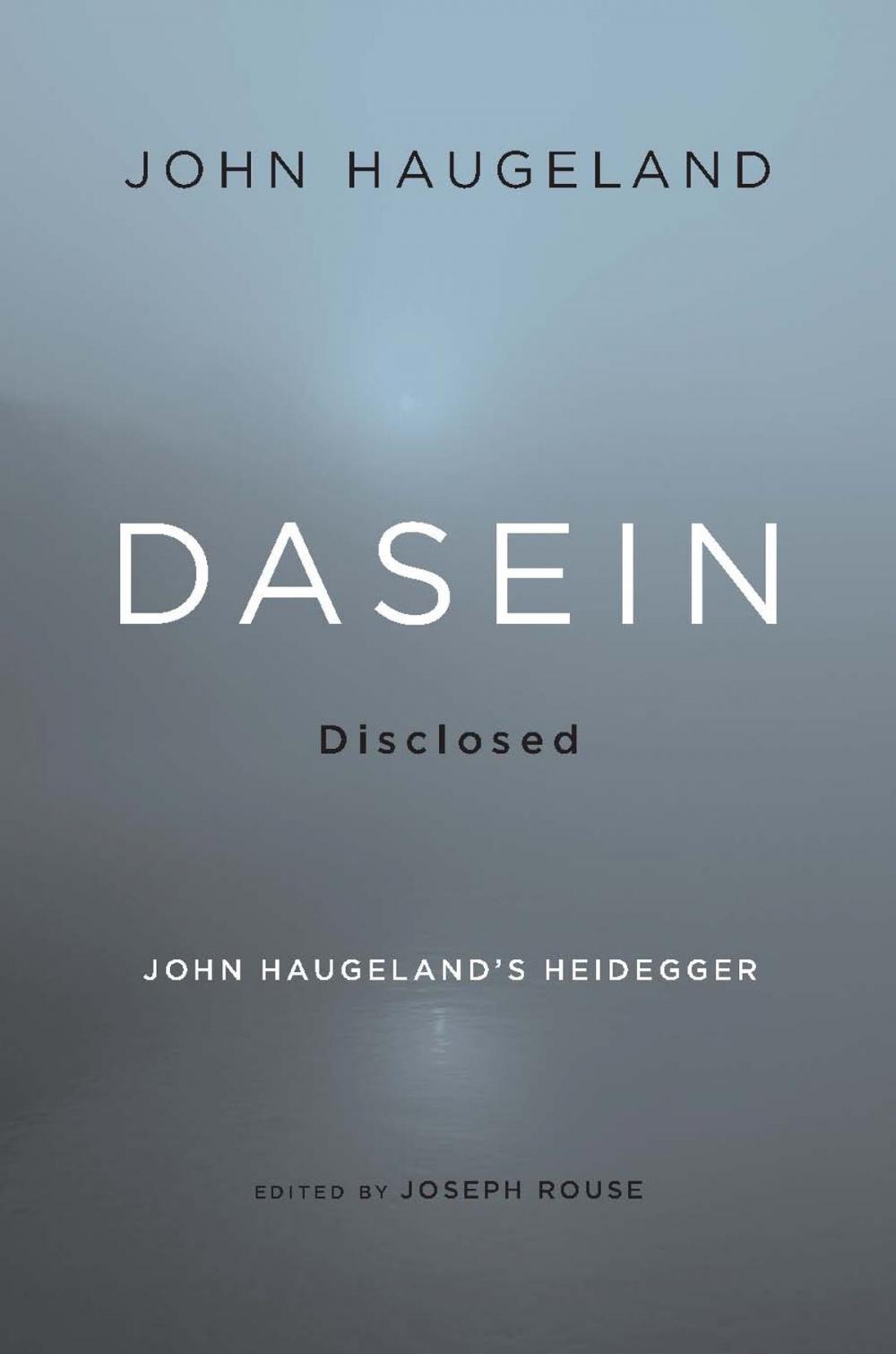 Big bigCover of Dasein Disclosed