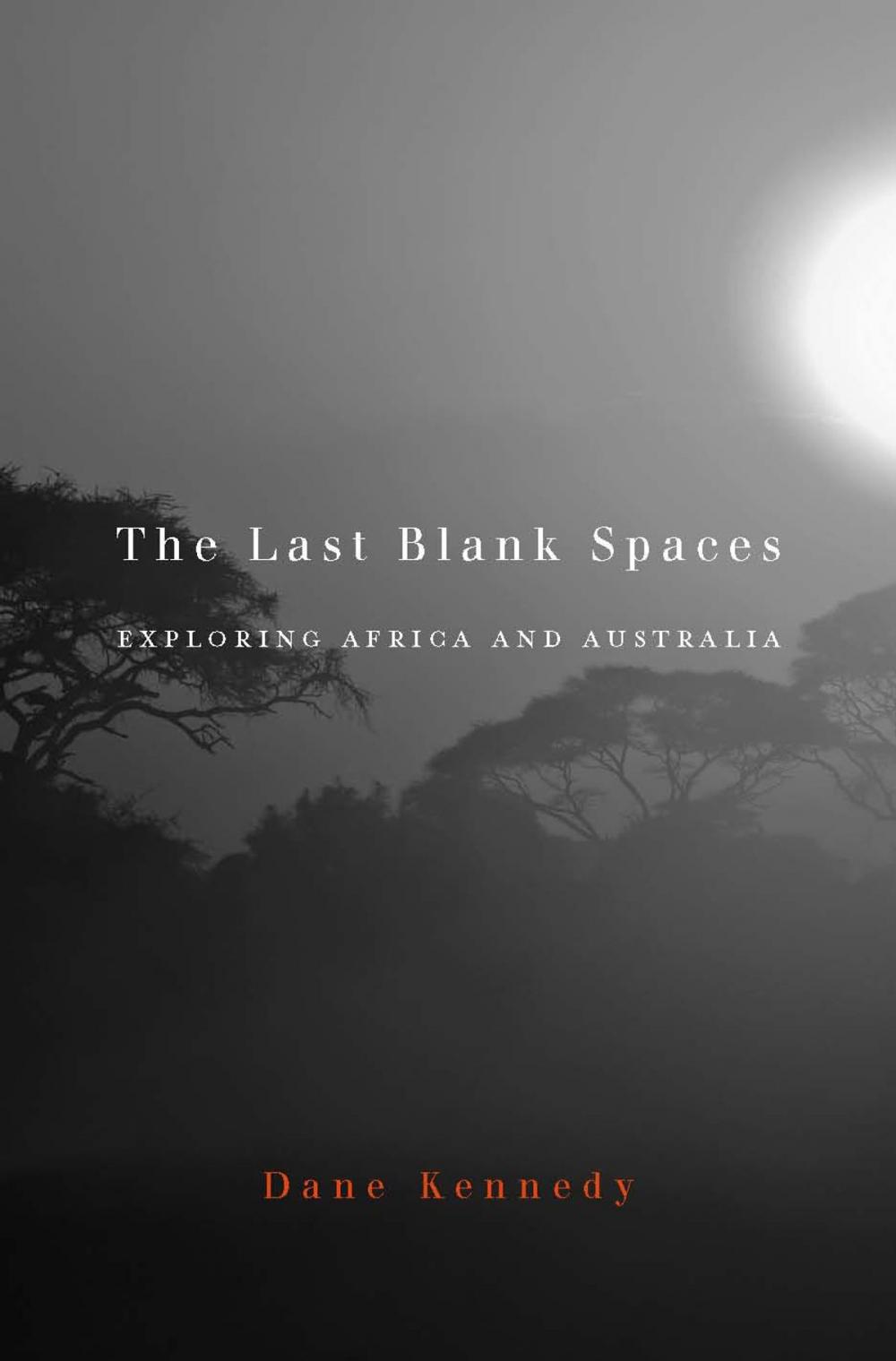 Big bigCover of The Last Blank Spaces