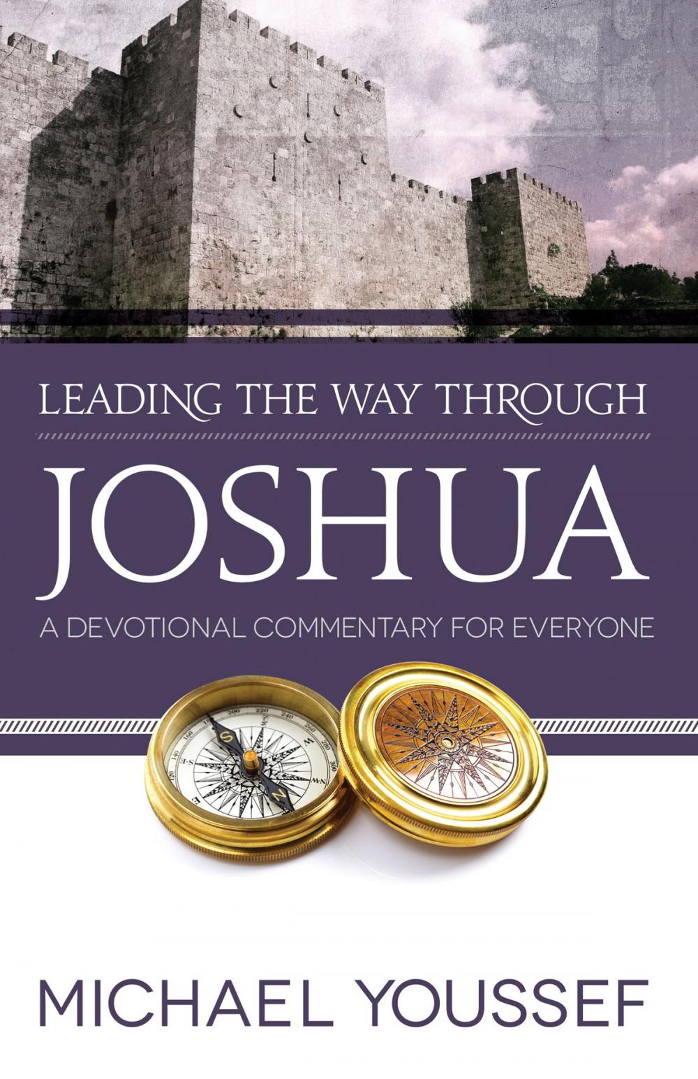 Big bigCover of Leading the Way Through Joshua