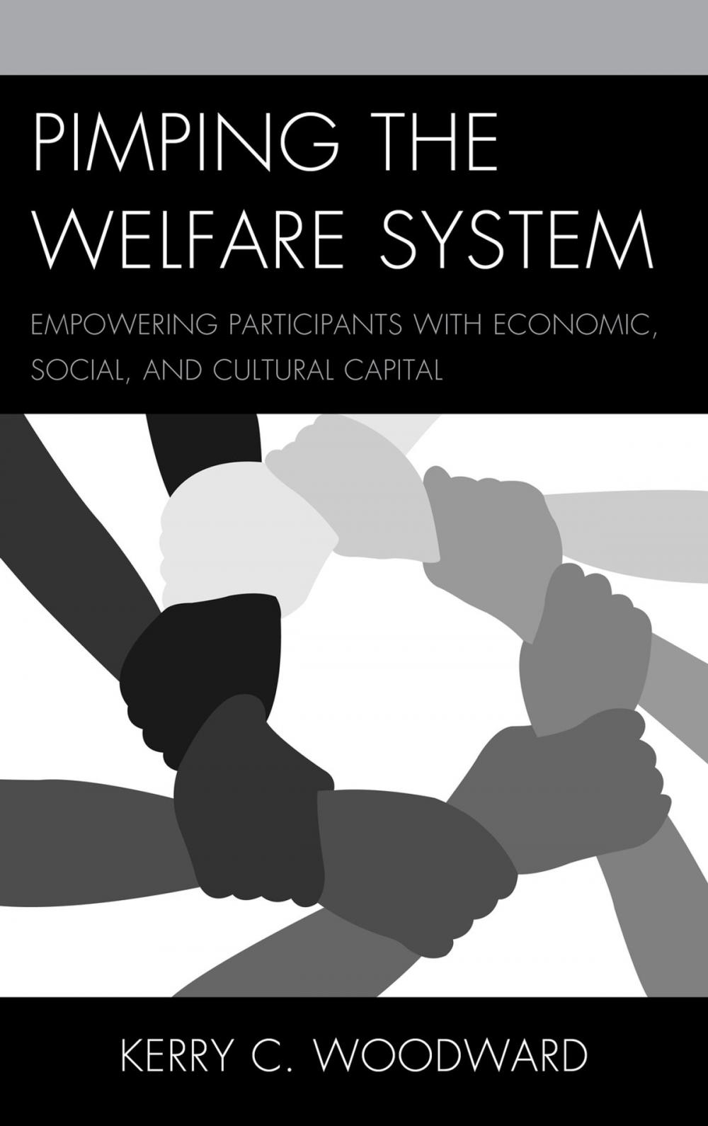 Big bigCover of Pimping the Welfare System