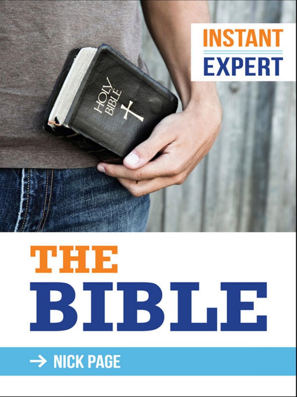 Big bigCover of Instant Expert: The Bible