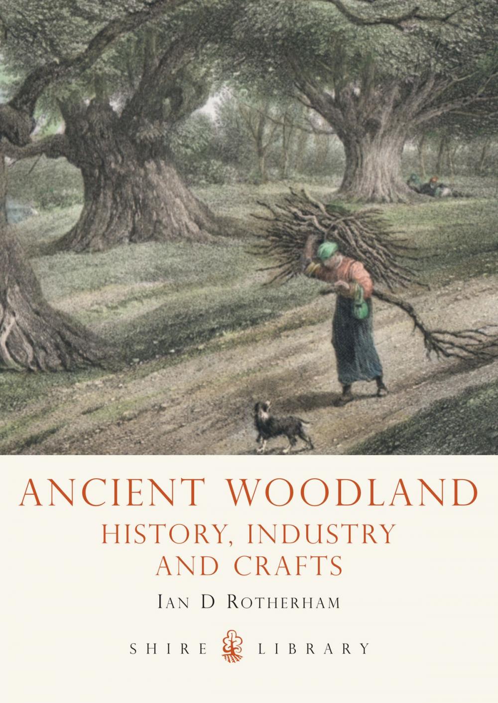 Big bigCover of Ancient Woodland