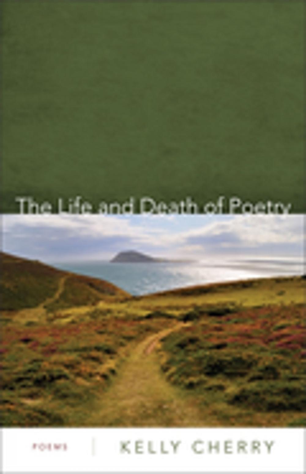 Big bigCover of The Life and Death of Poetry