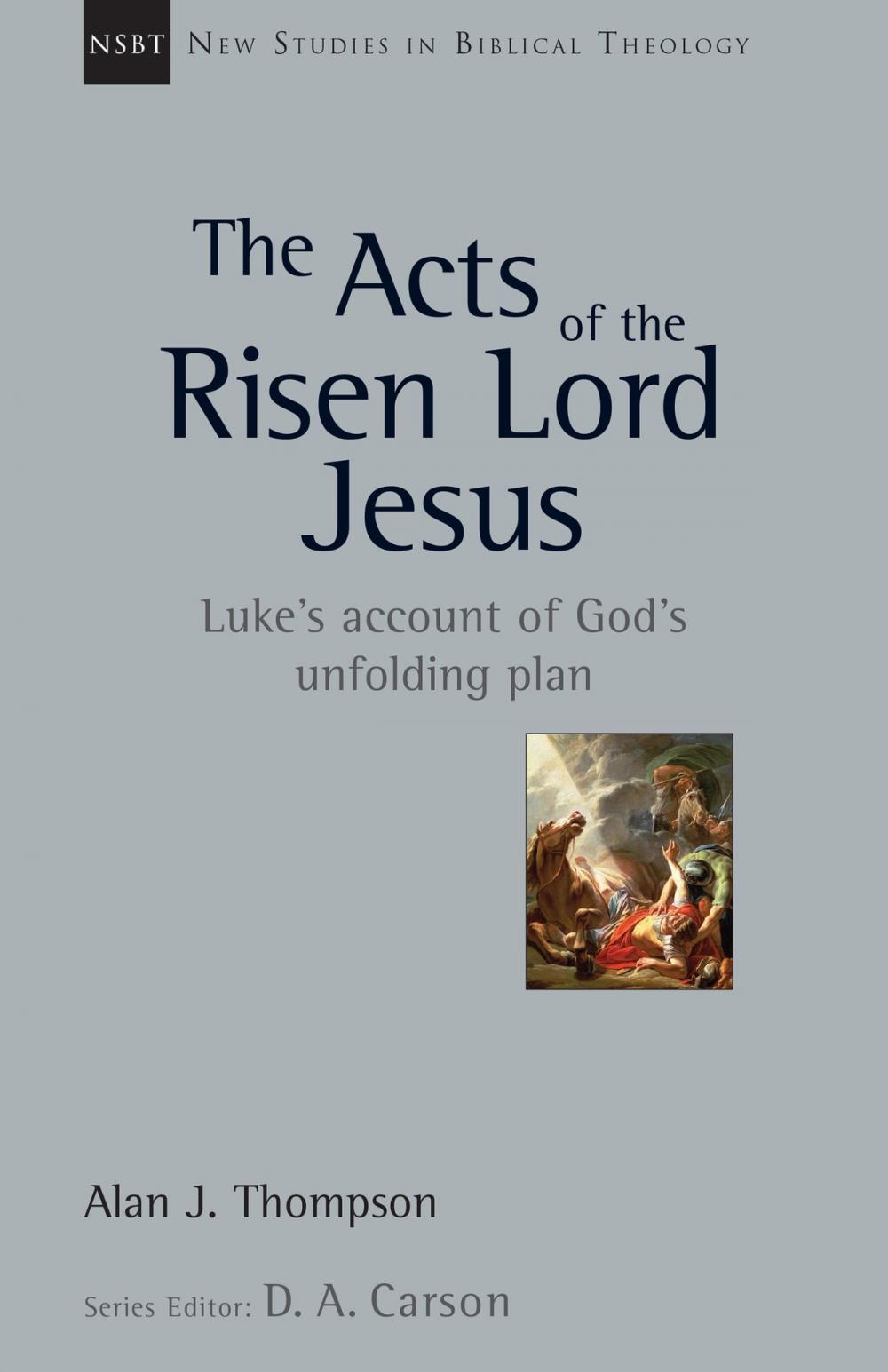 Big bigCover of The Acts of the Risen Lord Jesus