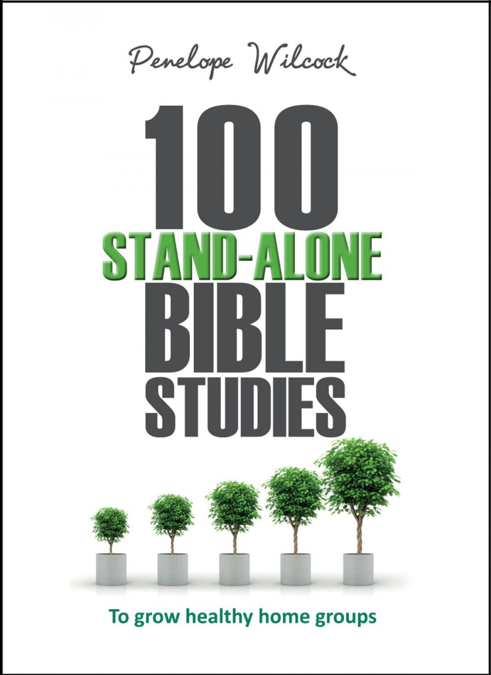 Big bigCover of 100 Stand-Alone Bible Studies