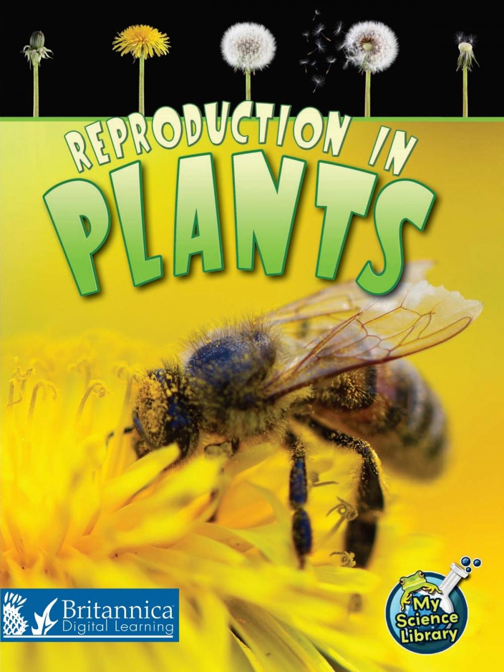 Big bigCover of Reproduction in Plants