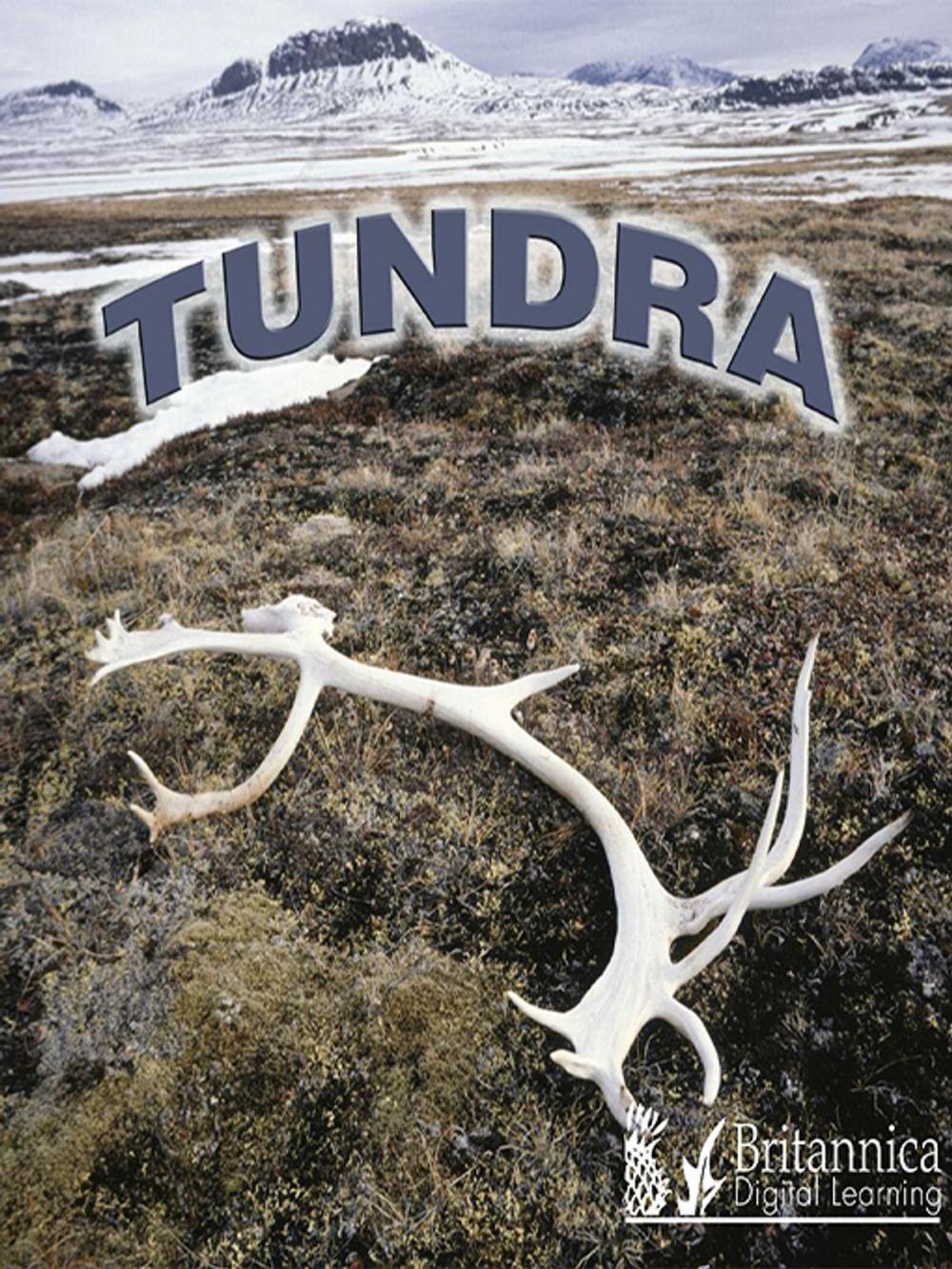 Big bigCover of Tundra