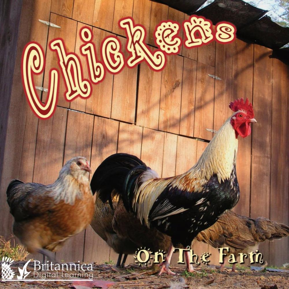 Big bigCover of Chickens on the Farm