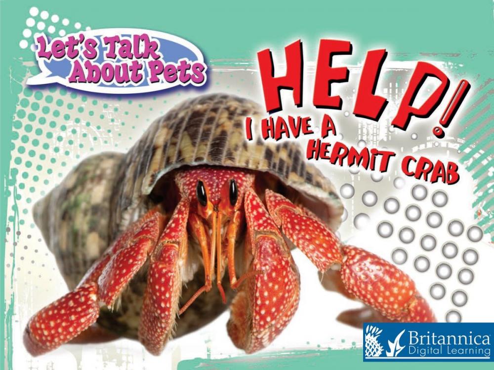 Big bigCover of Help! I Have A Hermit Crab