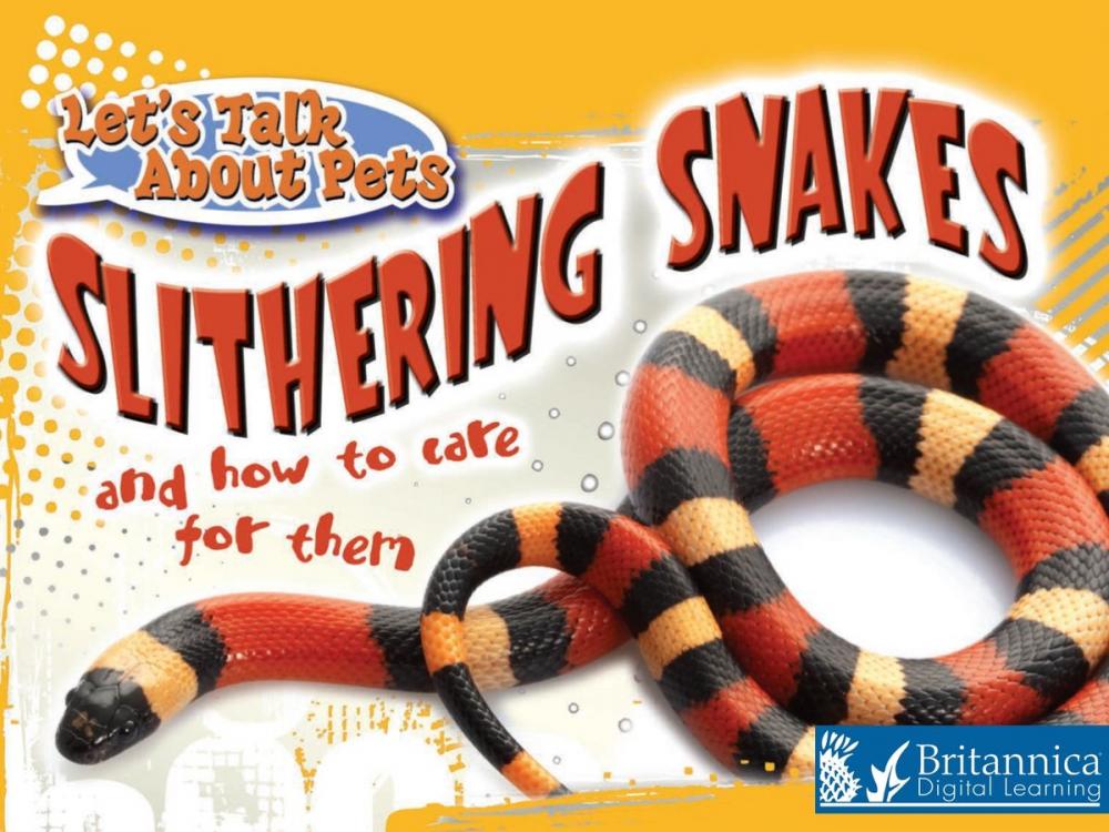 Big bigCover of Slithering Snakes and How to Care for Them