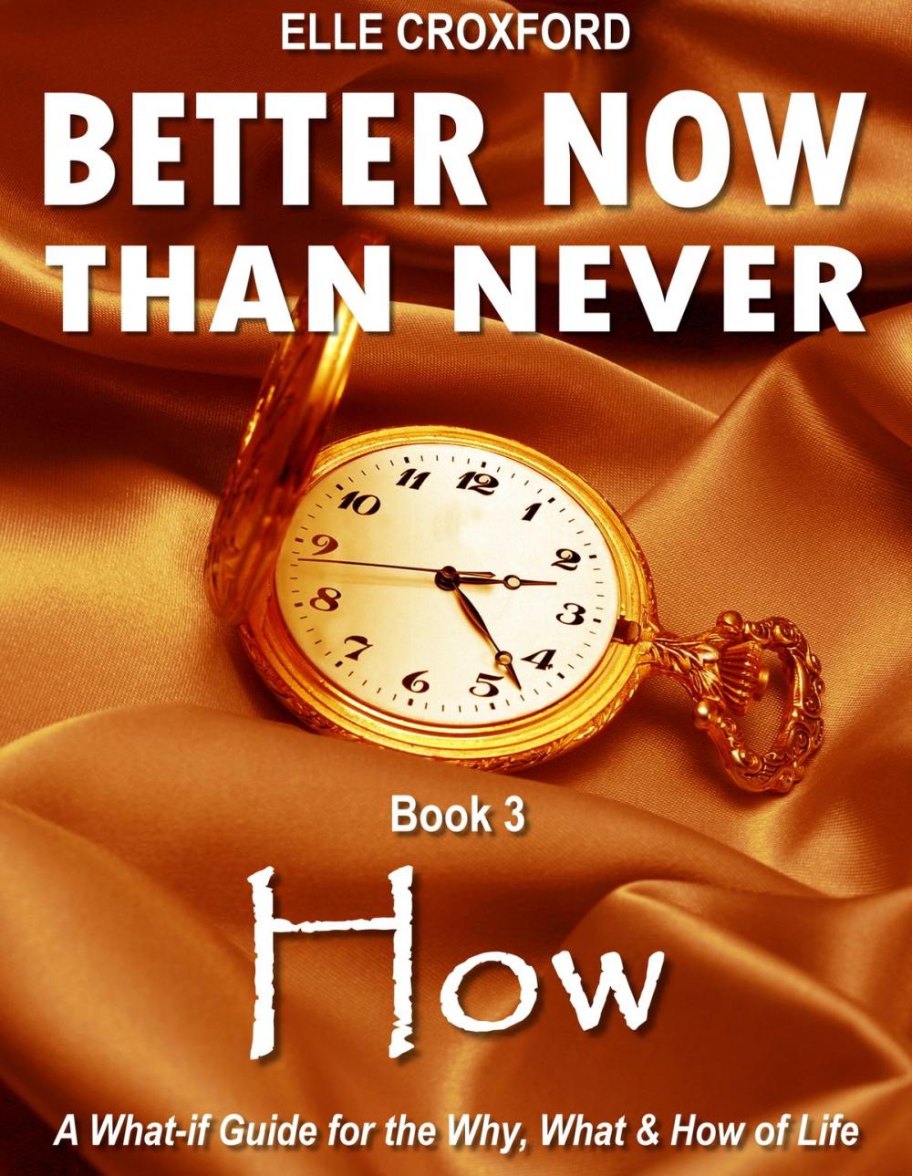 Big bigCover of Better Now Than Never: Book 3 How