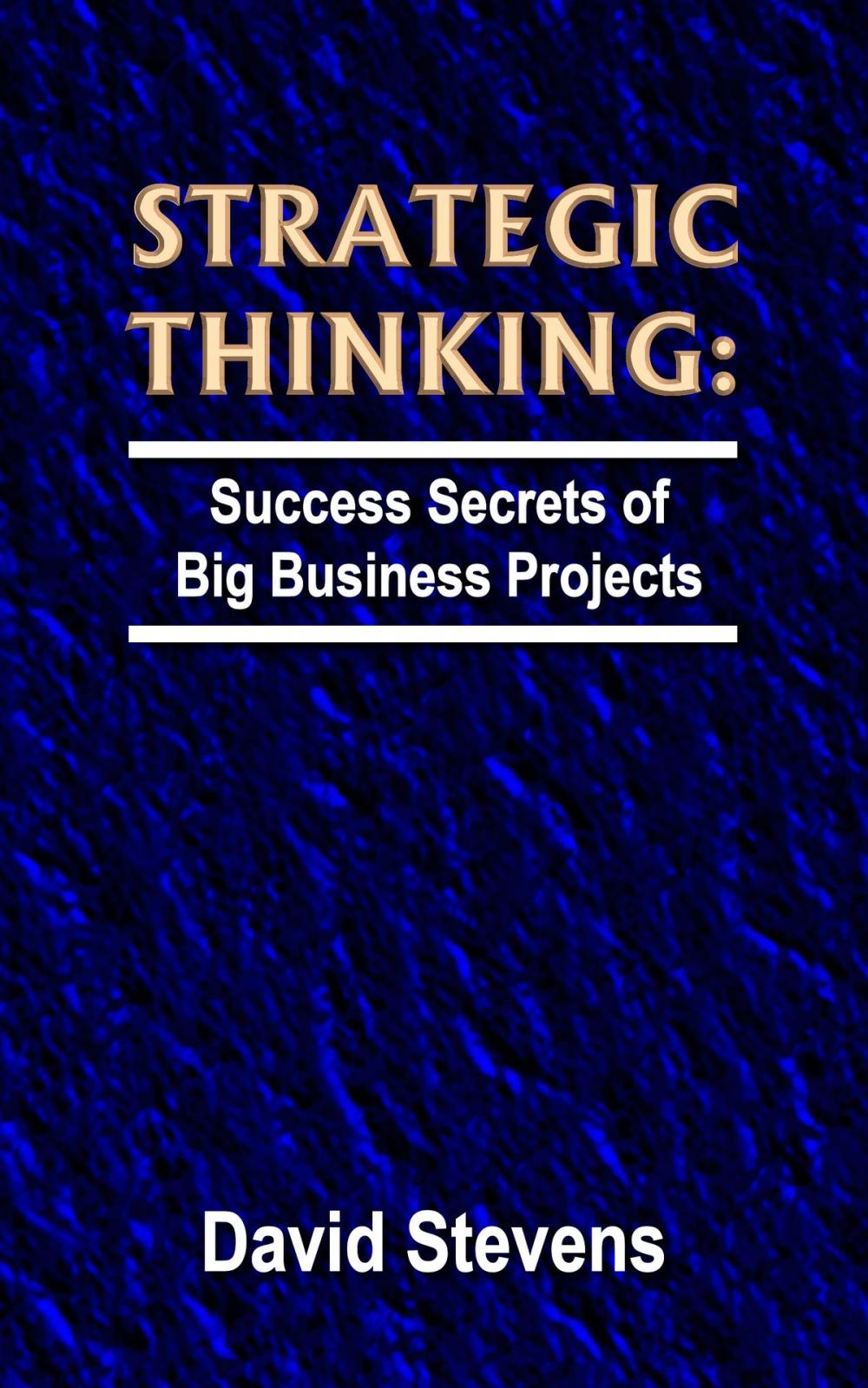 Big bigCover of Strategic Thinking: success secrets of big business projects