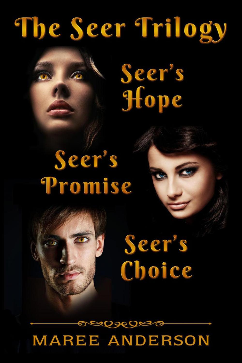 Big bigCover of The Seer Trilogy Bundle