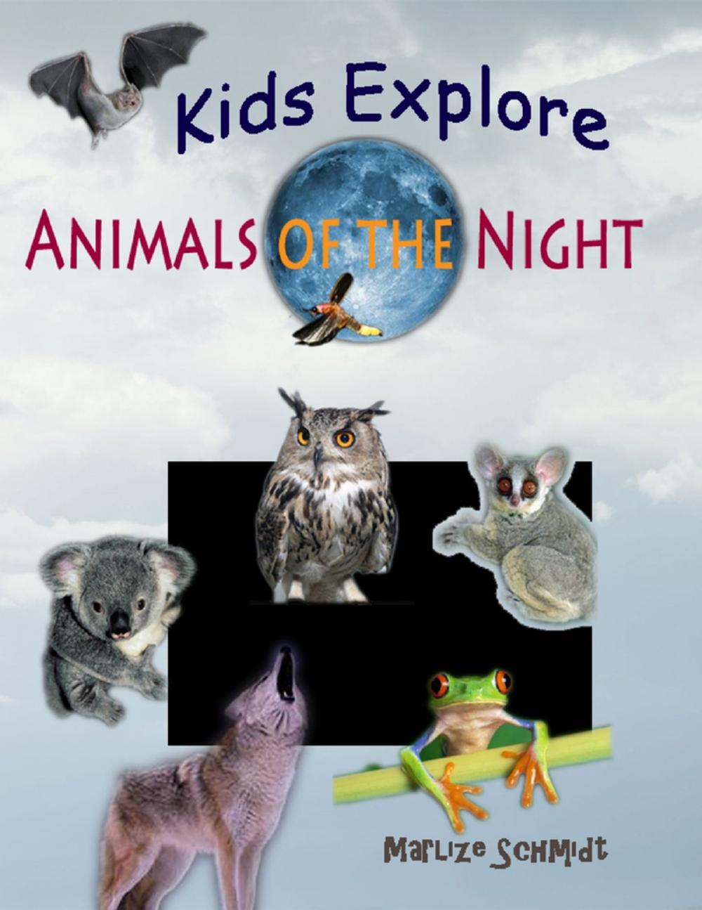 Big bigCover of Kids Explore: Animals of the Night