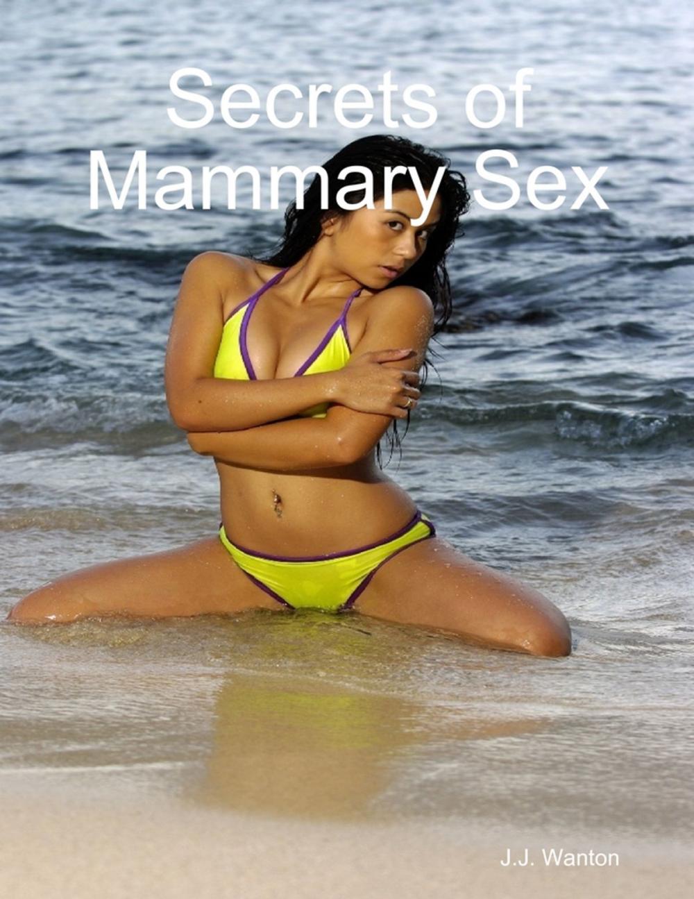 Big bigCover of Secrets of Mammary Sex