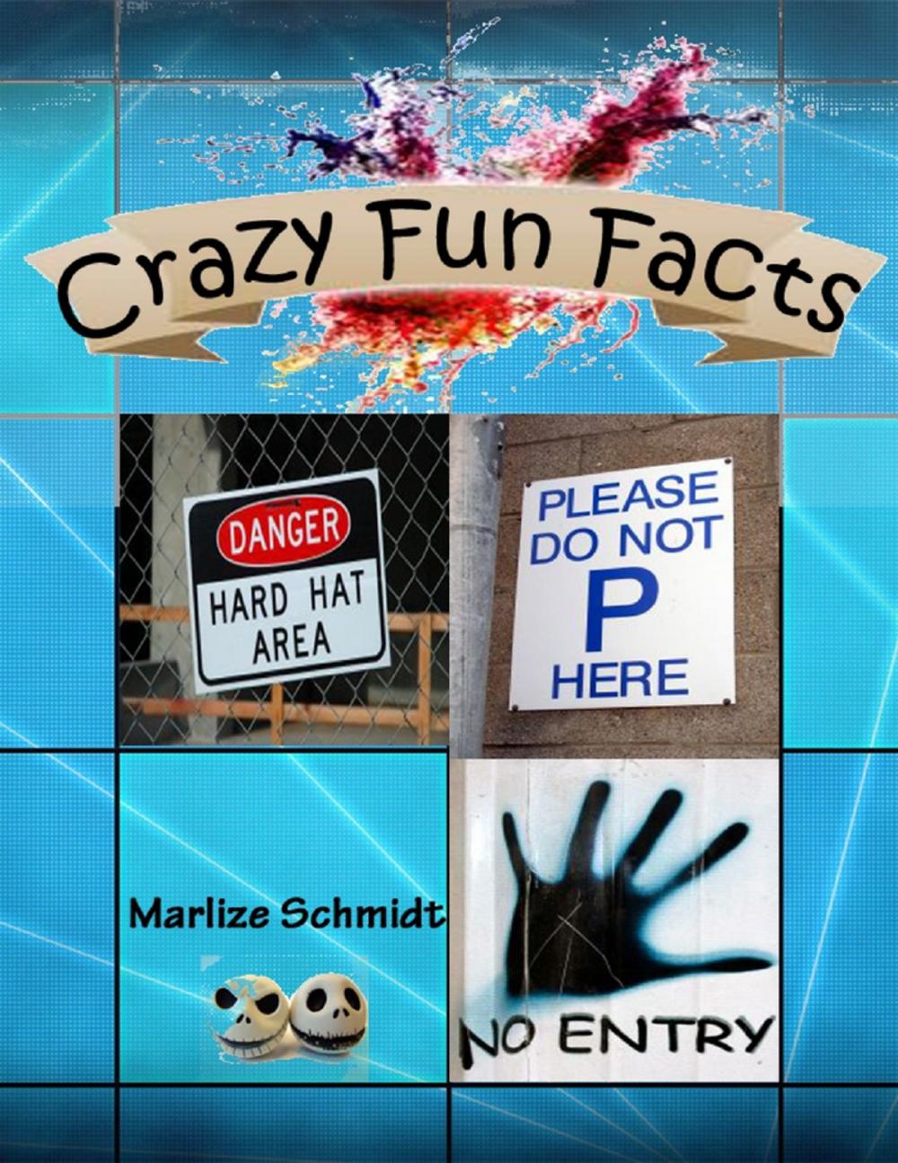 Big bigCover of Crazy Fun Facts