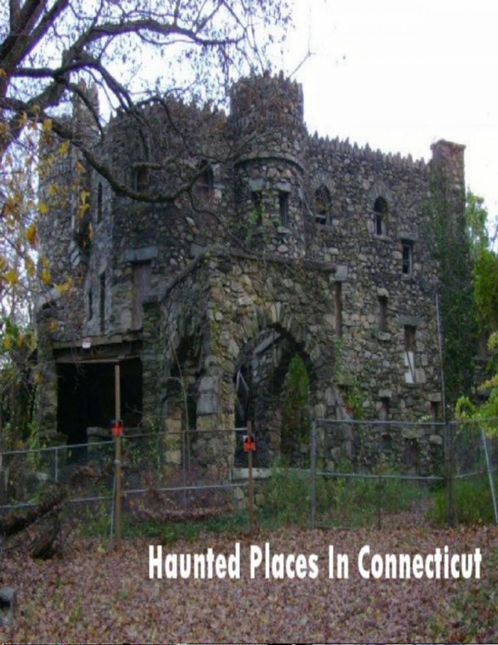 Big bigCover of Haunted Places In Connecticut