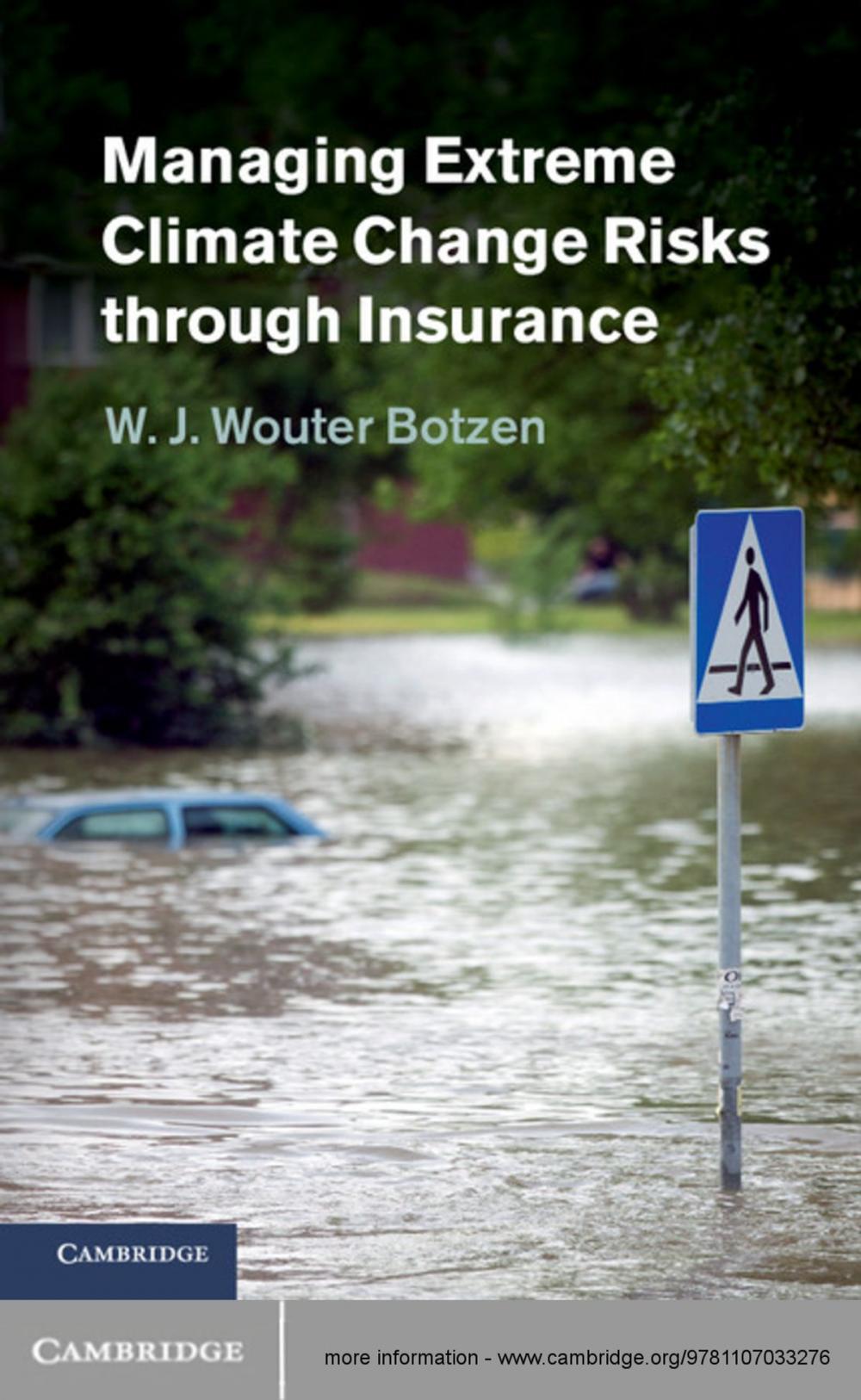 Big bigCover of Managing Extreme Climate Change Risks through Insurance