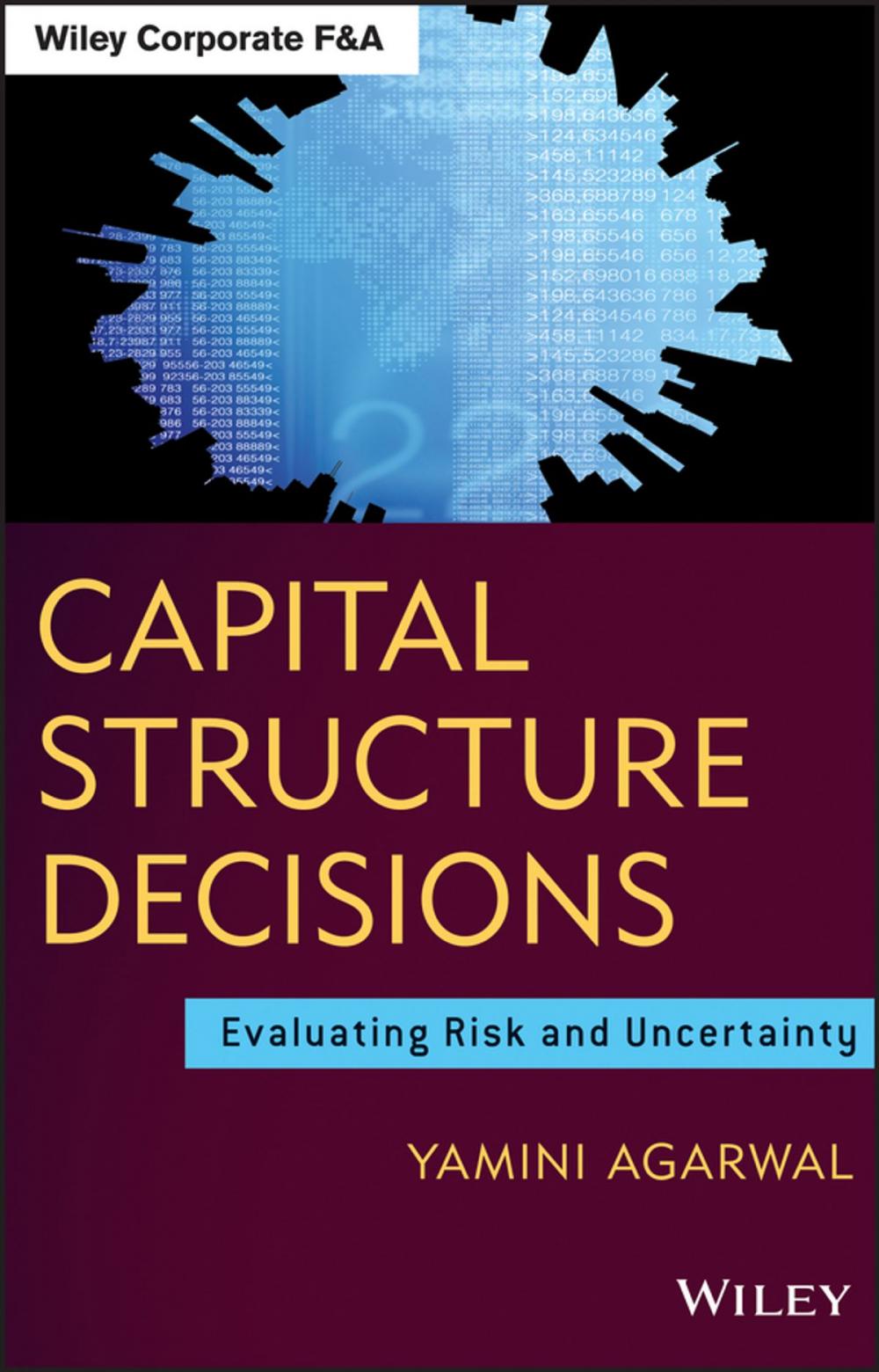 Big bigCover of Capital Structure Decisions