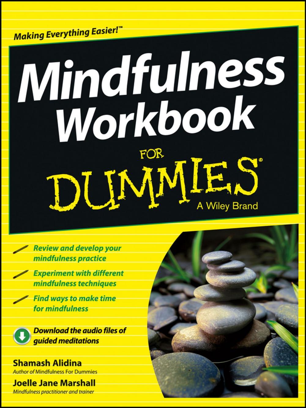 Big bigCover of Mindfulness Workbook For Dummies