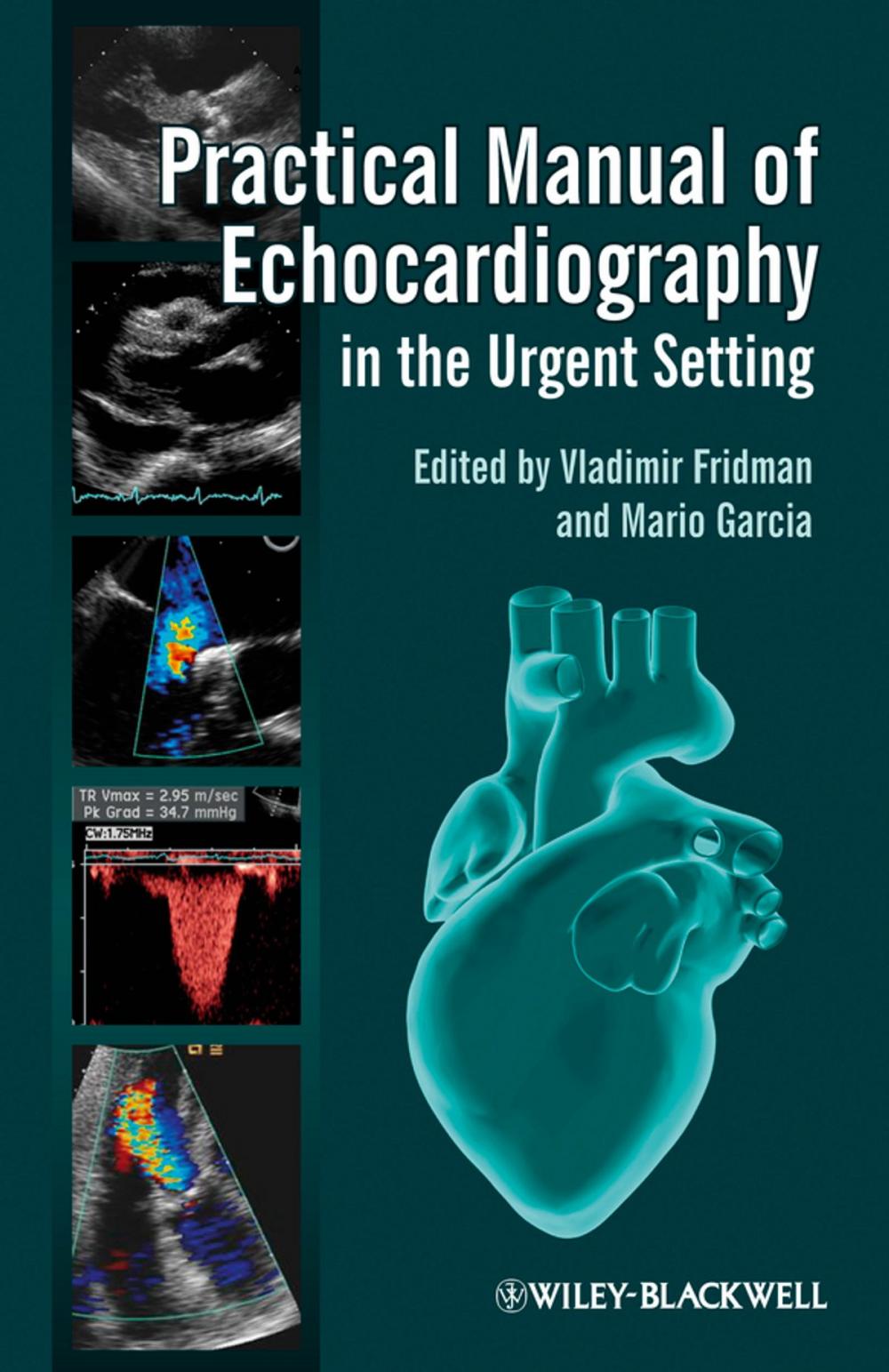 Big bigCover of Practical Manual of Echocardiography in the Urgent Setting