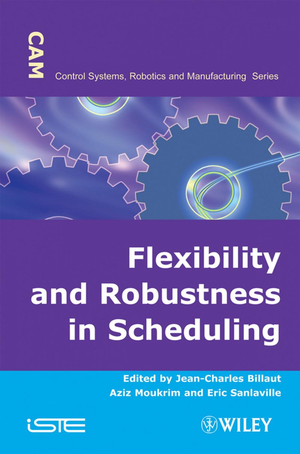 Big bigCover of Flexibility and Robustness in Scheduling