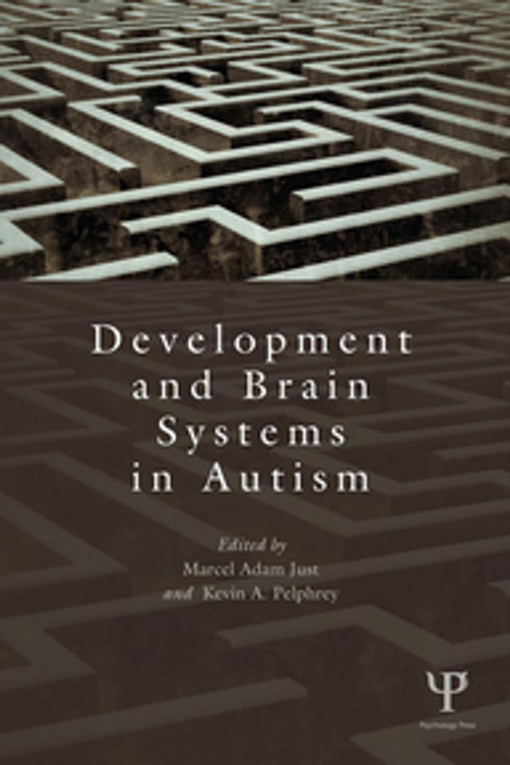 Big bigCover of Development and Brain Systems in Autism