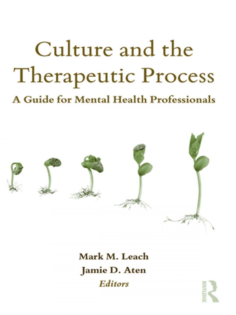 Big bigCover of Culture and the Therapeutic Process