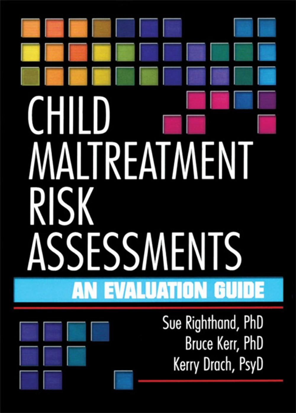 Big bigCover of Child Maltreatment Risk Assessments