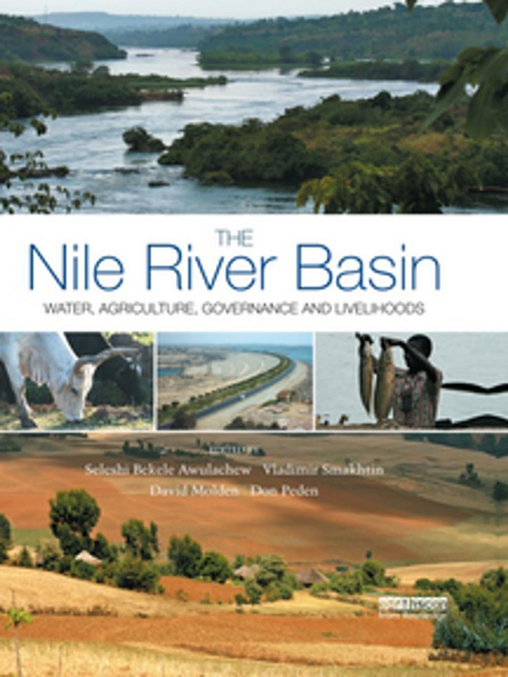 Big bigCover of The Nile River Basin