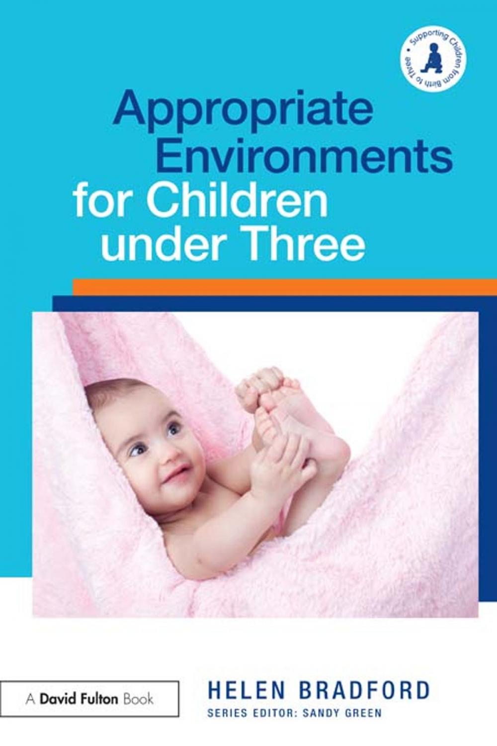 Big bigCover of Appropriate Environments for Children under Three