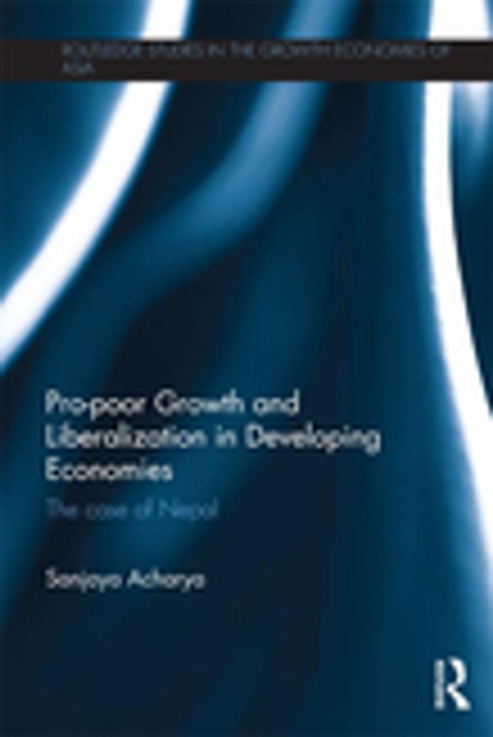 Big bigCover of Pro-poor Growth and Liberalization in Developing Economies