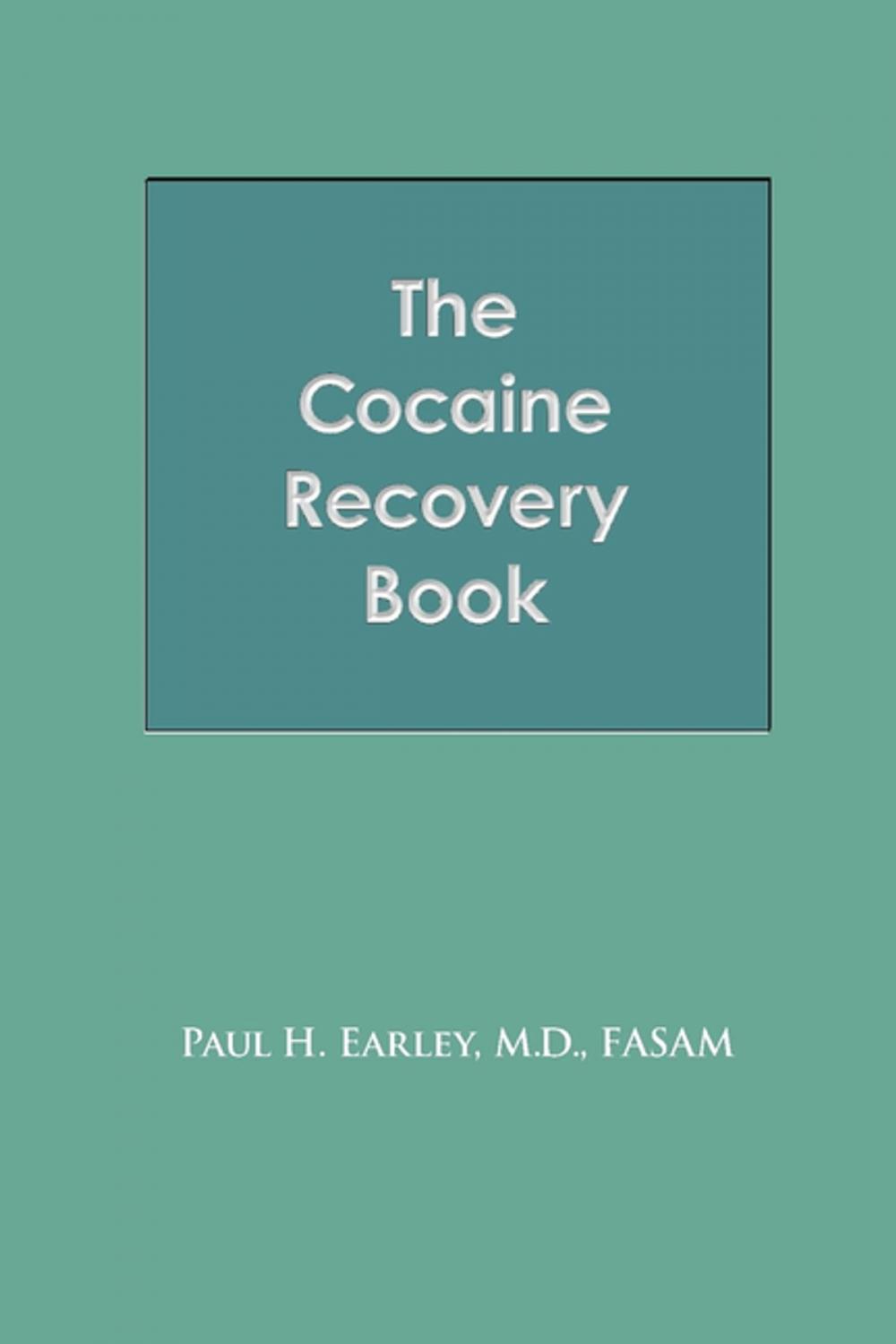 Big bigCover of The Cocaine Recovery Book