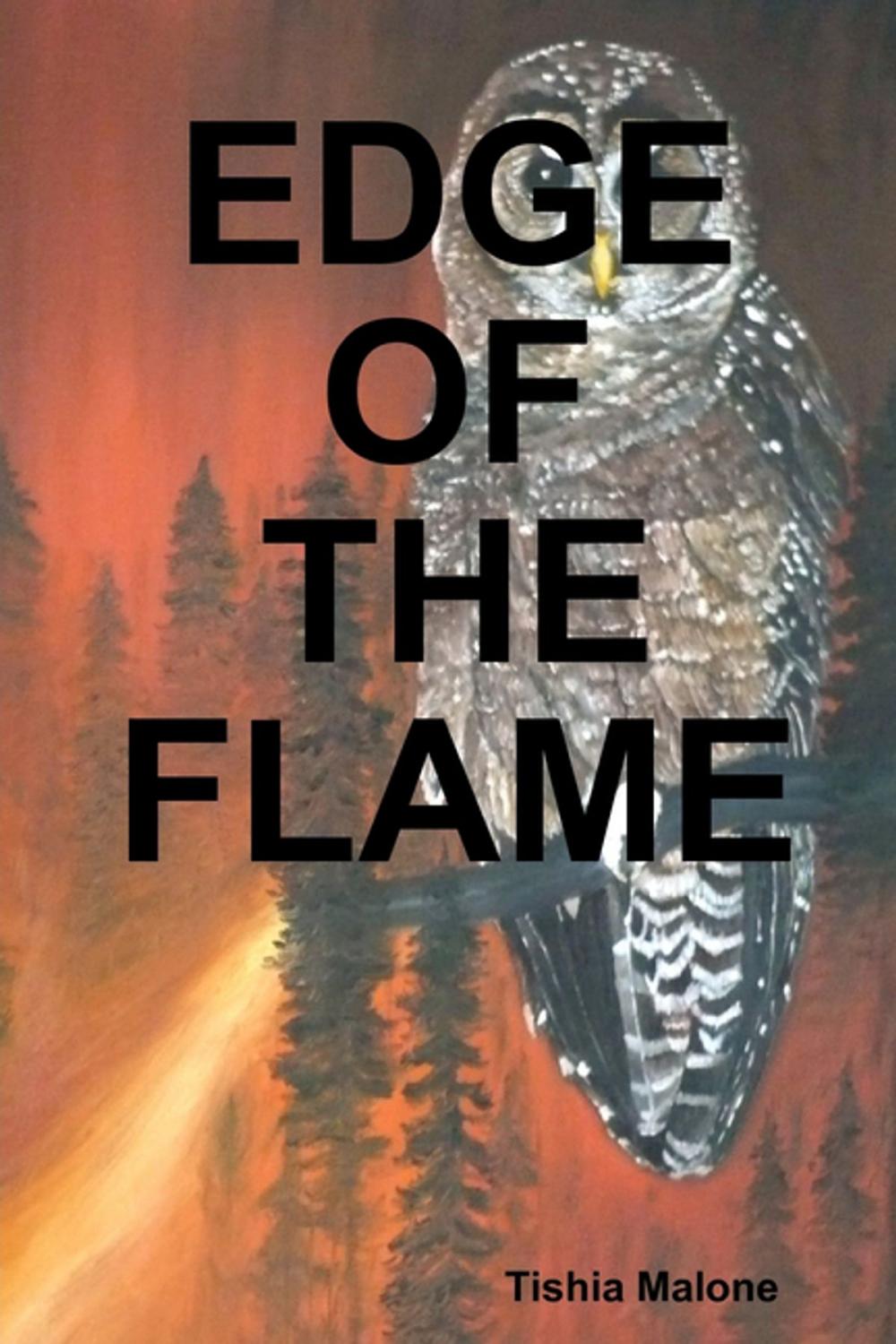 Big bigCover of Edge of the Flame