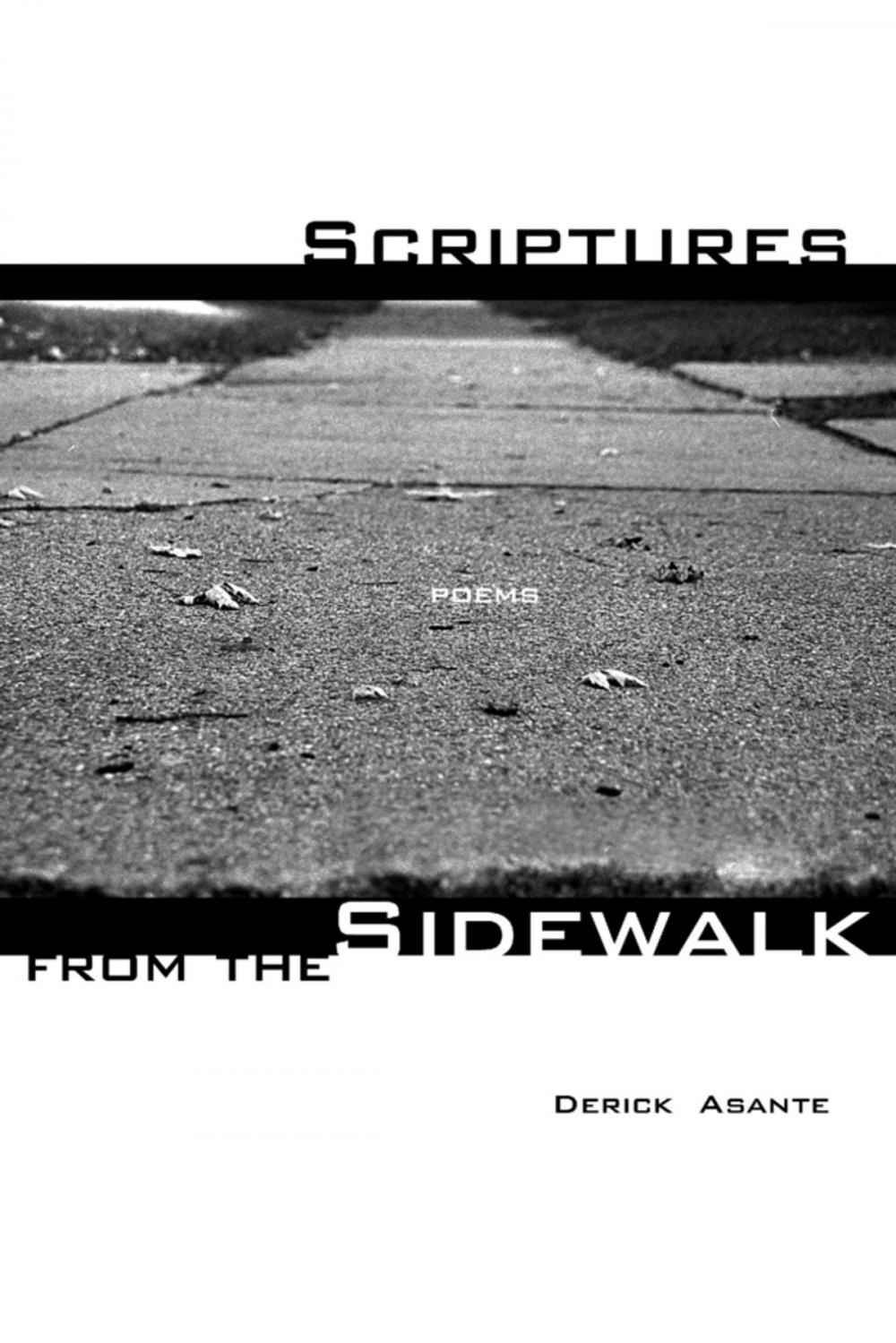 Big bigCover of Scriptures from the Sidewalk