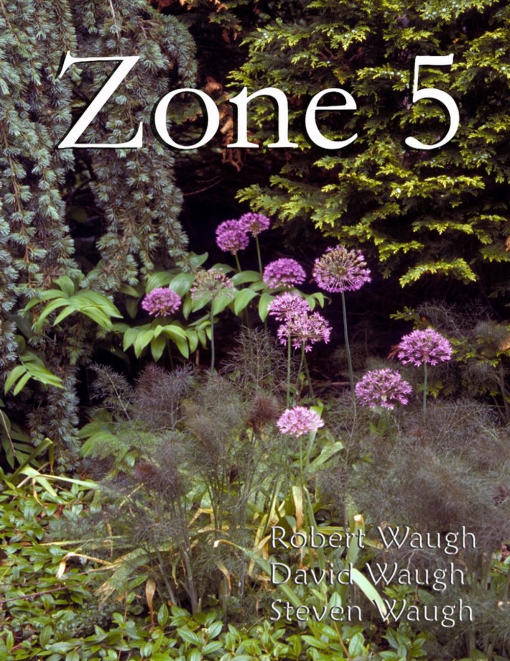 Big bigCover of Zone 5