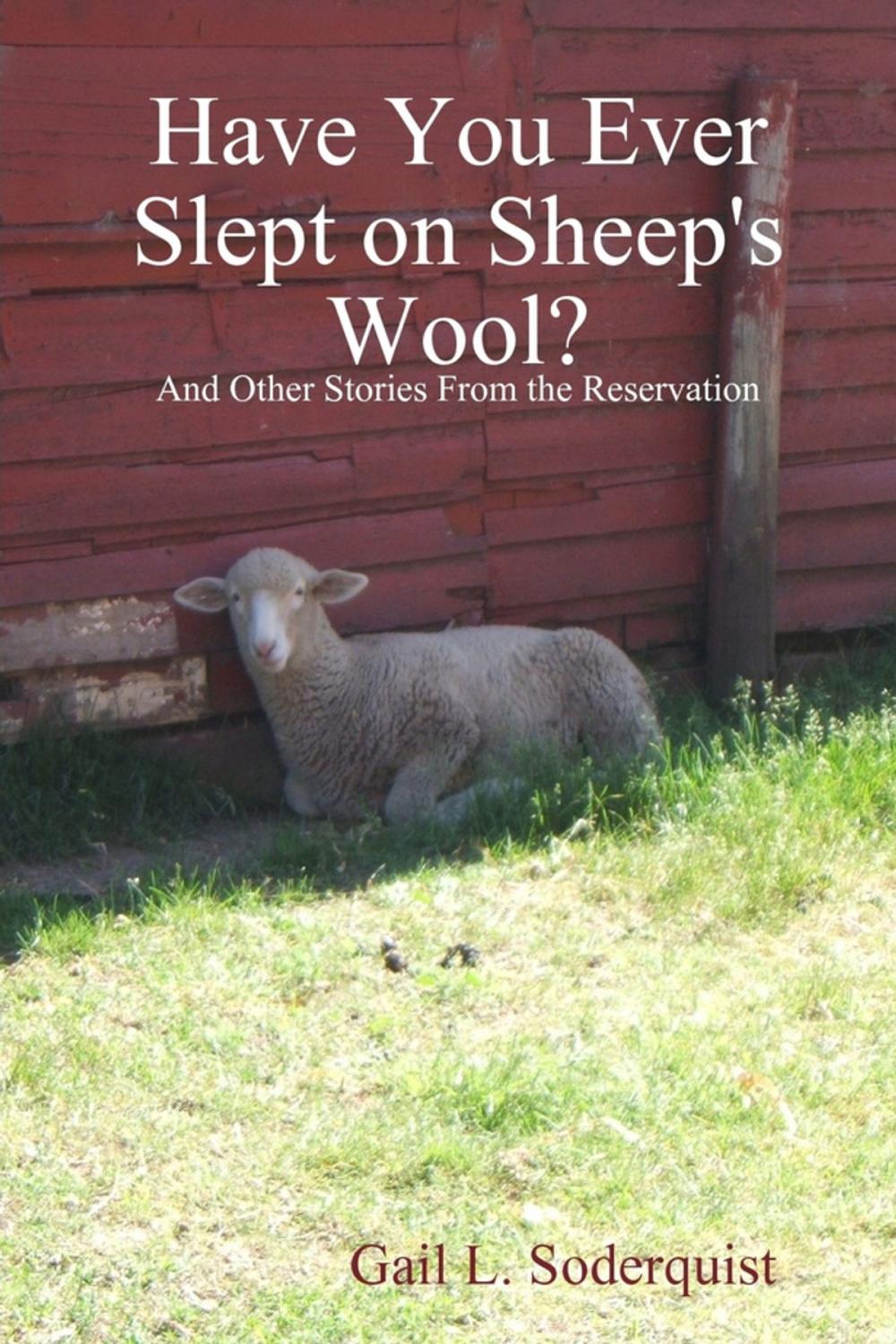 Big bigCover of Have You Ever Slept on Sheep's Wool? : And Other Stories from the Reservation